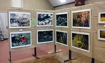 Photo de l'exposition Art et matière 2017